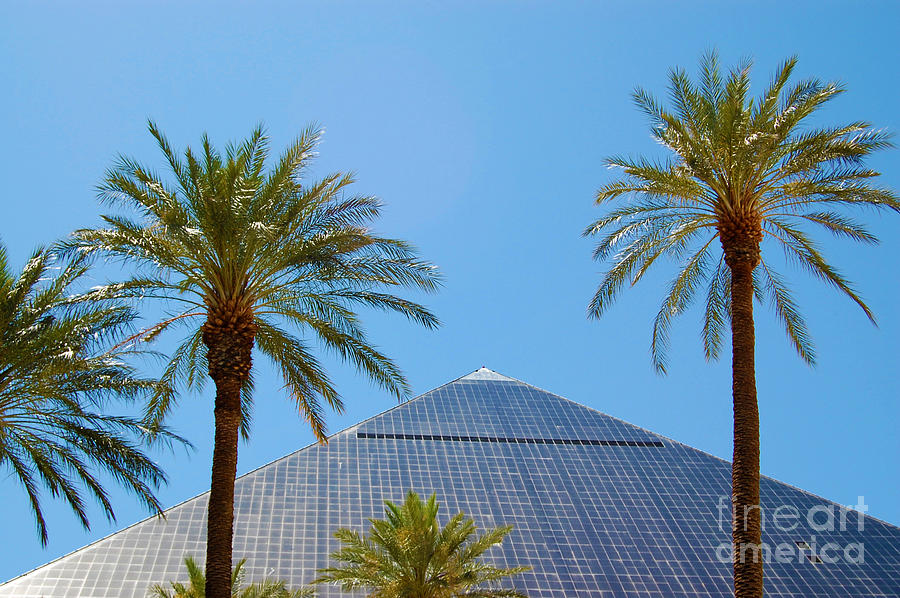 Luxor Pyramid and Palms Photograph by Debra Thompson