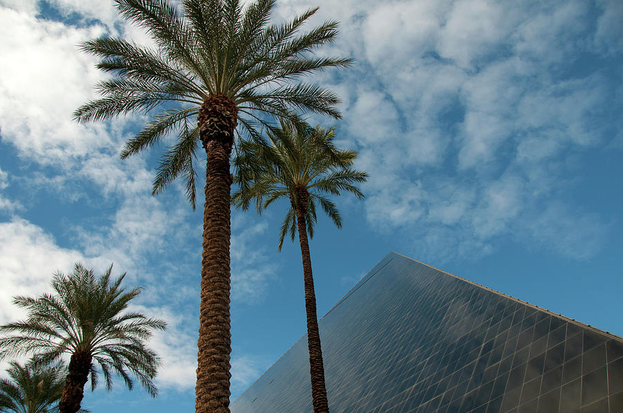 Luxor Pyramid And Palms Photograph by Mitch Diamond