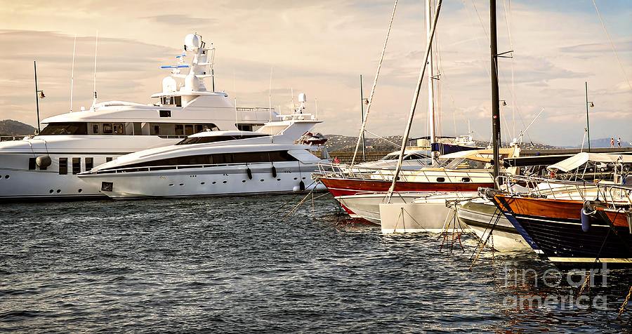 Luxury boats at St.Tropez Photograph by Elena Elisseeva