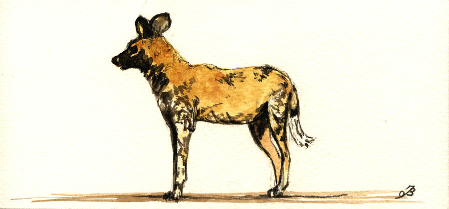 Wildlife Painting - Lycaon Wild Dog  by Juan  Bosco