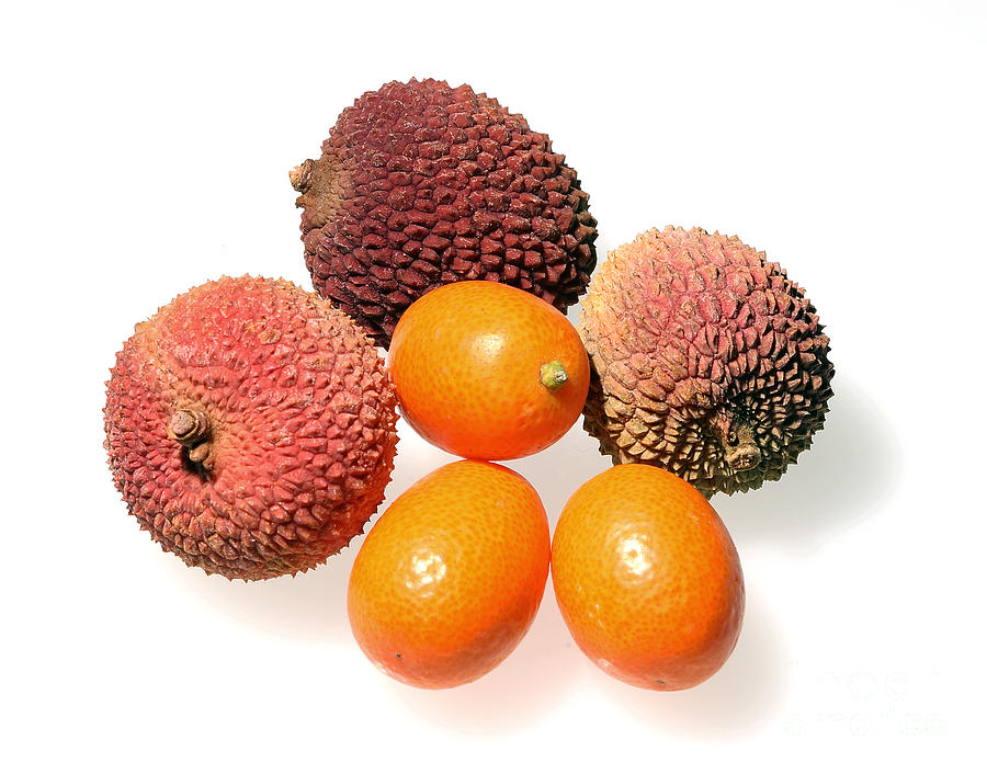 Lychees and Kumquats  Photograph by Nicholas Burningham