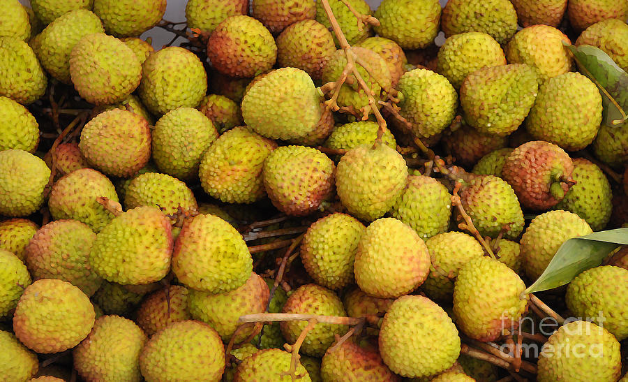 Lychees Photograph by Josephine Cohn