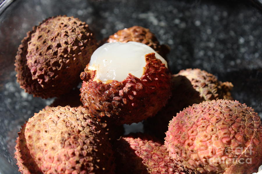 Lychees Photograph by Julie Alison