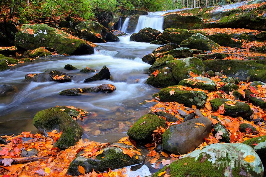 Lynn Camp Prong Cascades in October Photograph by Larry Knupp - Fine ...