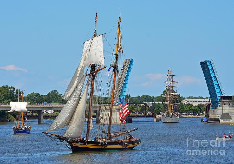 Sail Photograph - Lynx Topsail Schooner by Rodney Campbell