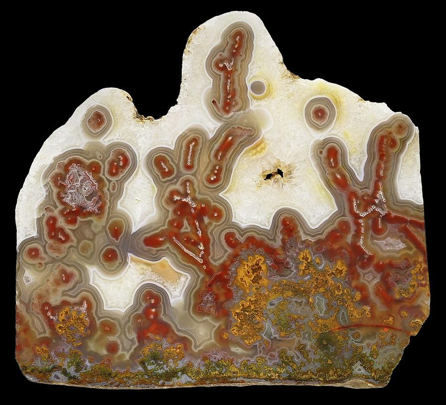 Lysite Agate Photograph by Natural History Museum, London/science Photo Library