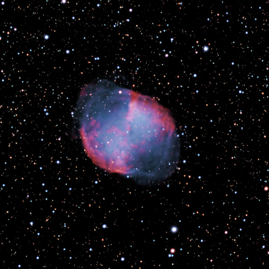 M 27--The Dumbbell Nebula Photograph by Alan Ley