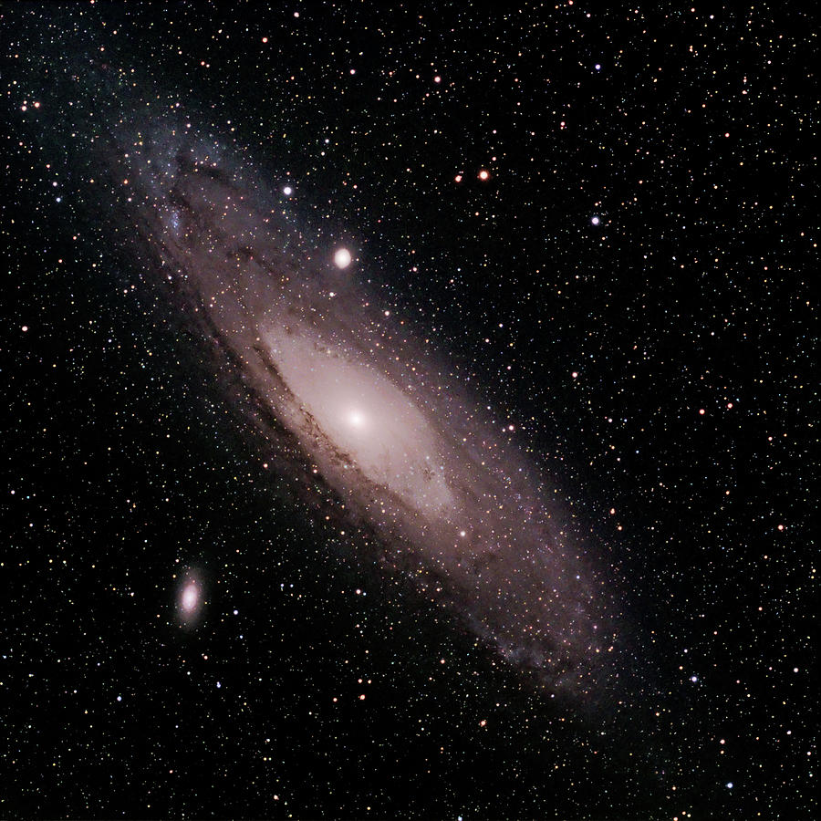 M 31, The Andromeda Galaxy Photograph by A. V. Ley