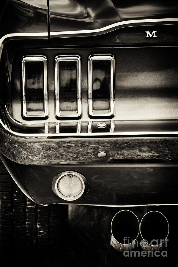 Car Photograph - M for Mustang by Tim Gainey