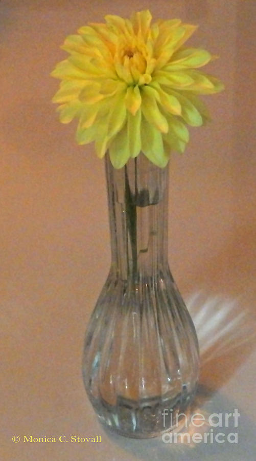 M Still Life Collection Yellow Flower Clear Vase No. SLC14 Orange Photograph by Monica C Stovall