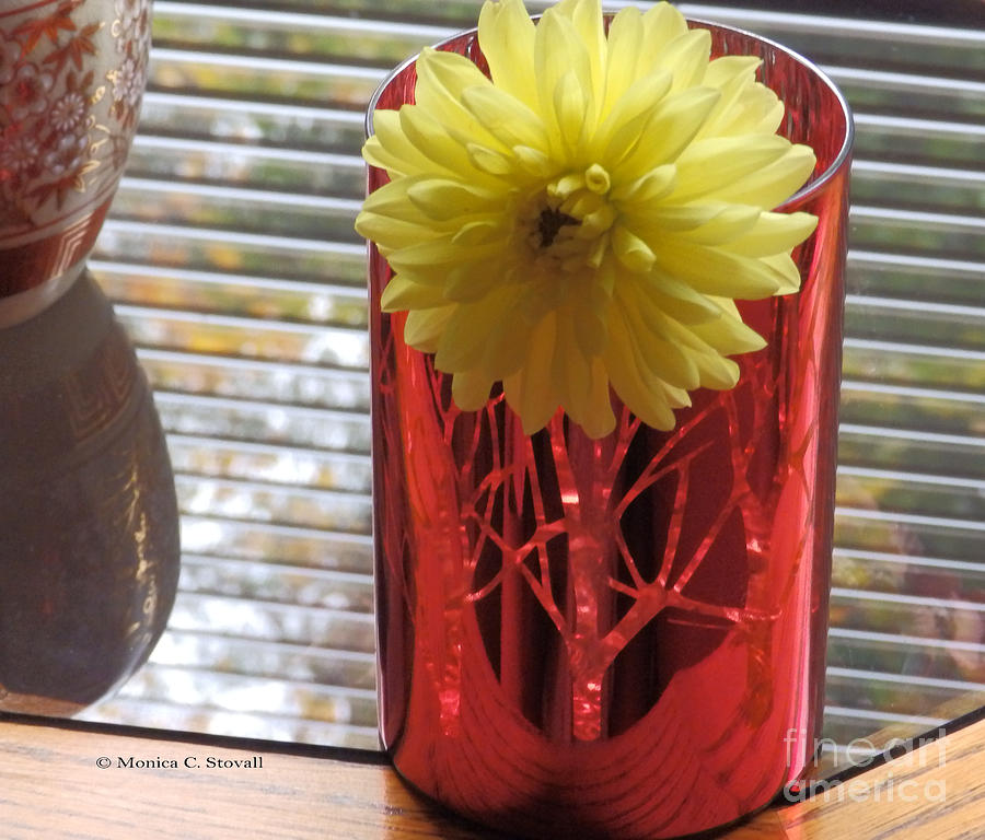 M Still Life Collection Yellow Flower Stripes Red Vase No. SLC23 Photograph by Monica C Stovall