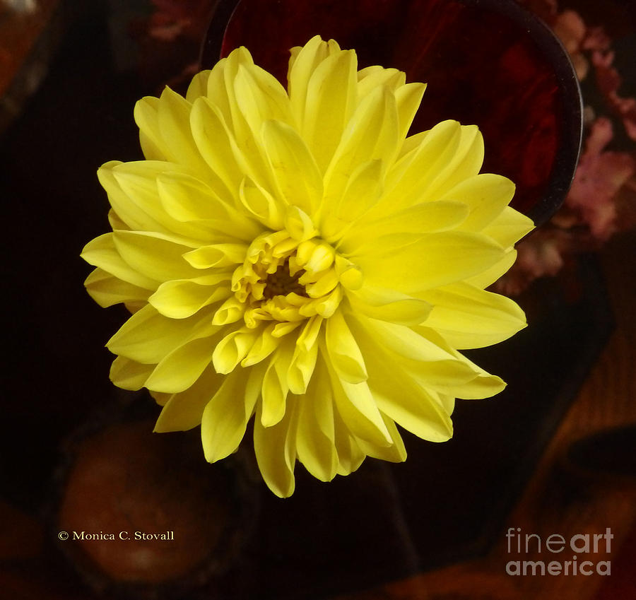 M Still Life Collection Yellow Flower Wine Vase No. SCL26 Photograph by Monica C Stovall