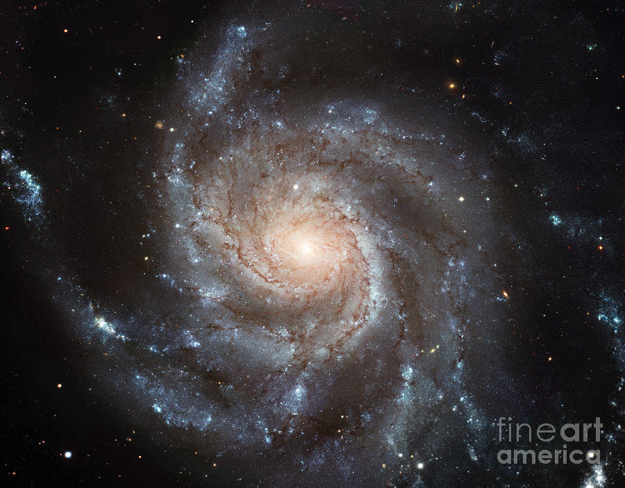 M101, Ngc 5457, Pinwheel Galaxy, Spiral Photograph by Science Source