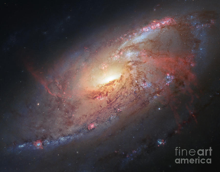 M106-Spiral Galaxy Photograph by Science Source
