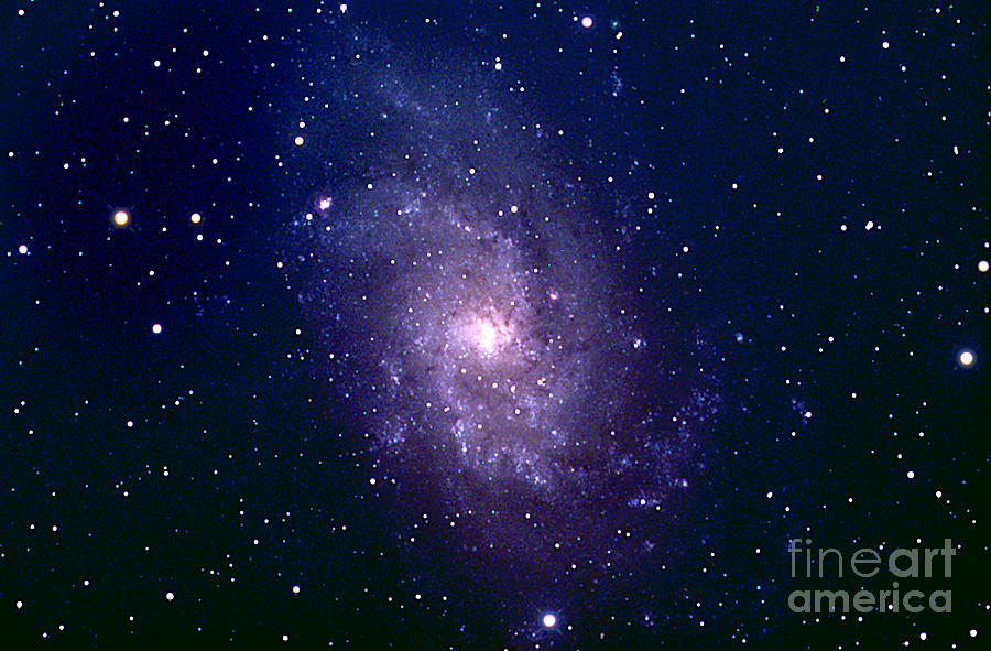 M33 Spiral Galaxy Photograph by John Chumack