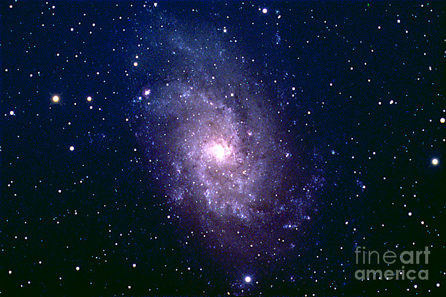 M33 Triangulum Galaxy Photograph by John Chumack