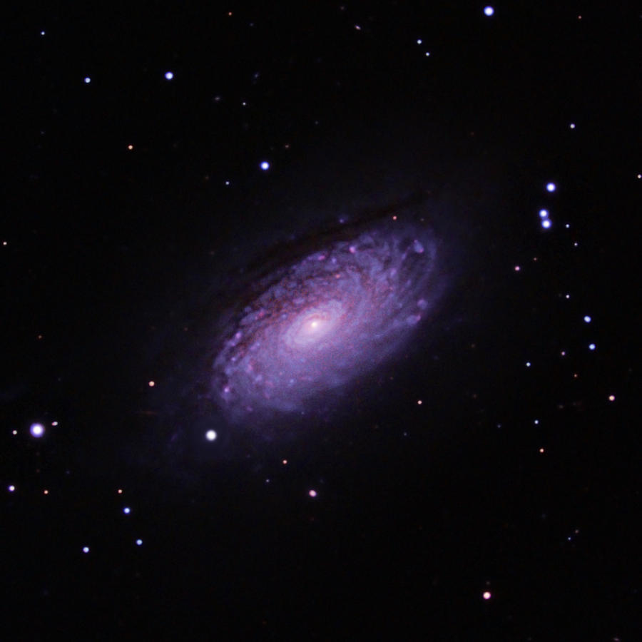 M63--The Sunflower Galaxy Photograph by Alan Vance Ley