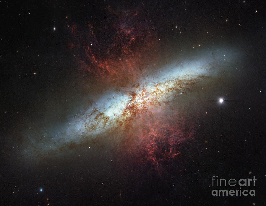 Space Photograph - M82-Ngc 3034-Cigar Galaxy by Science Source