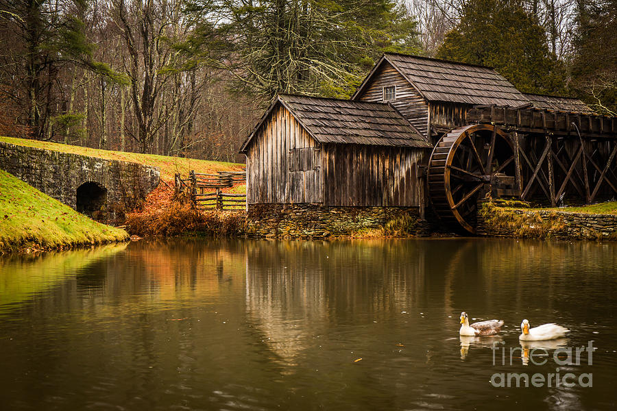 Mabry Mill Ducks Photograph by Robert Loe