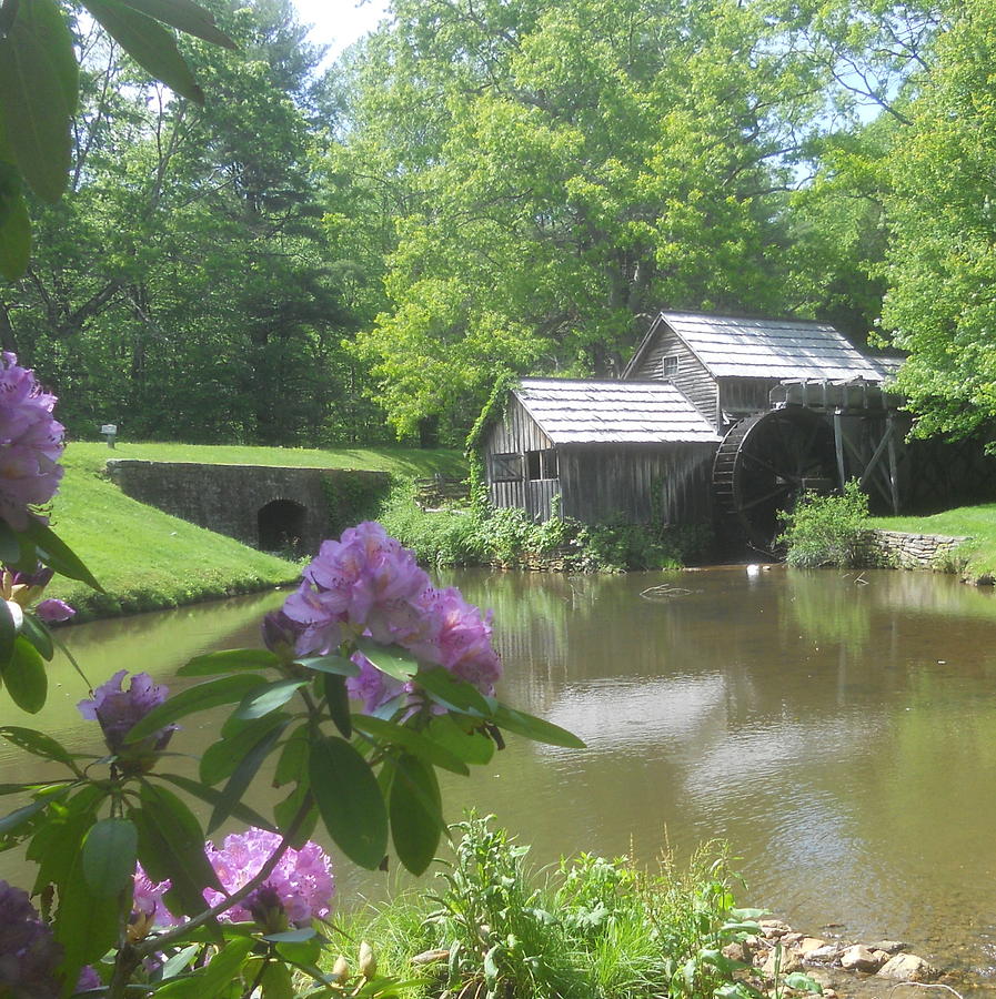 Mabry Mill in May Photograph by Diannah Lynch