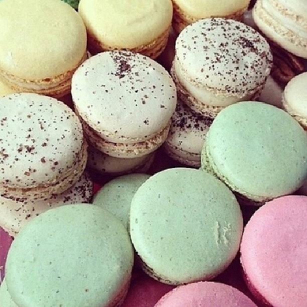 ~macaroons~ Wish To Try Them Some Day :3 Photograph by Jackeline Gonzalez