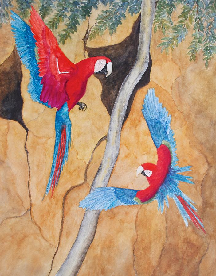 Macaw Claylick Painting by Patricia Beebe