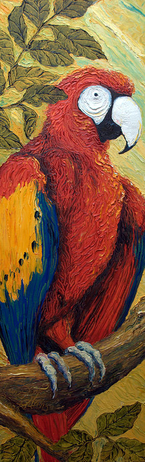 Macaw  Painting by Paris Wyatt Llanso