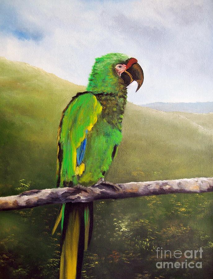 macaw II Painting by Kenneth Harris
