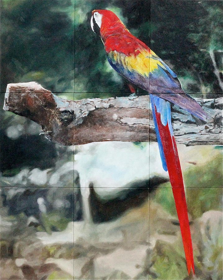 Macaw Painting - Macaw In Captivity by Miguel Lopez