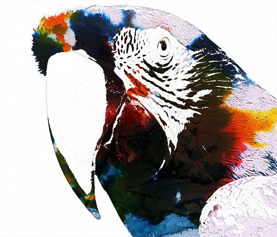 Macaw Mixed Media - Macaw in watercolor by Celestial Images