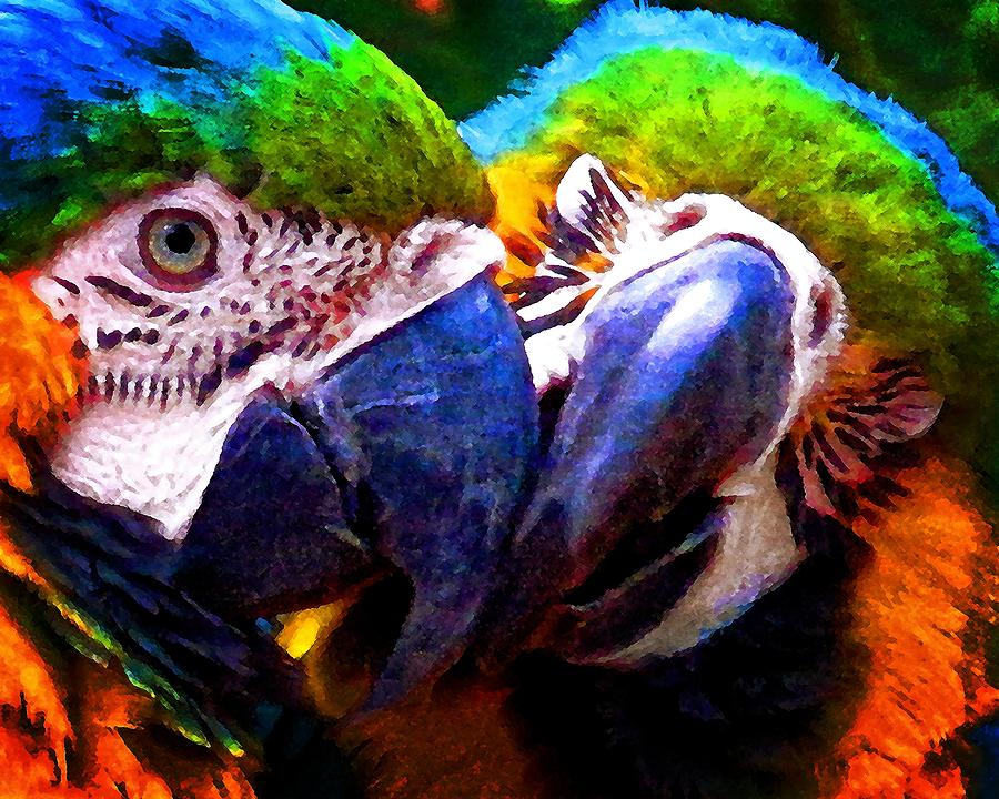 Macaw Kisses Photograph by Timothy Bulone