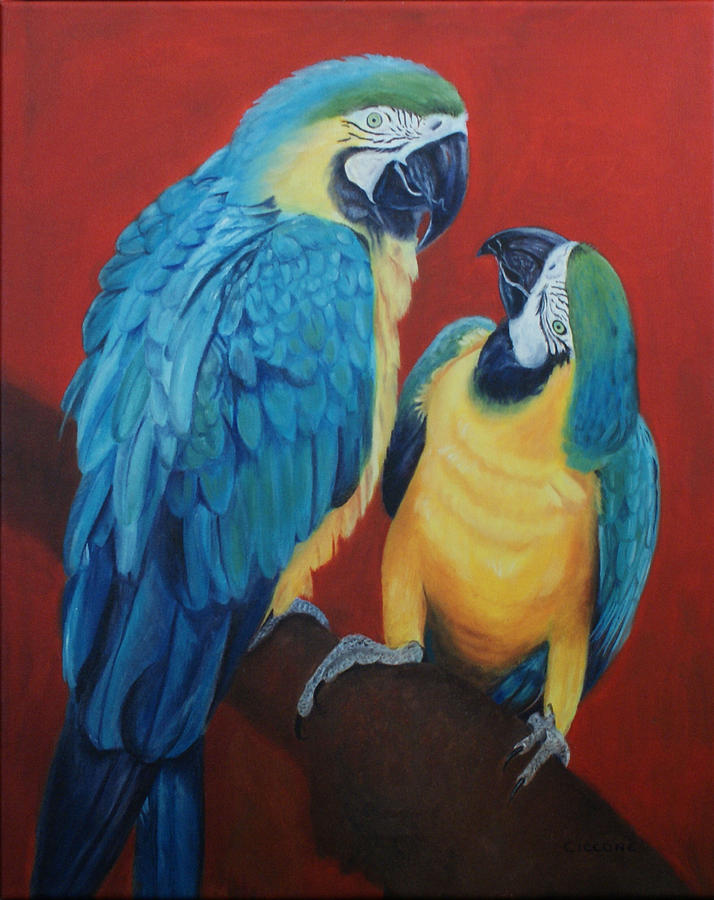 Macaws   Painting by Jill Ciccone Pike