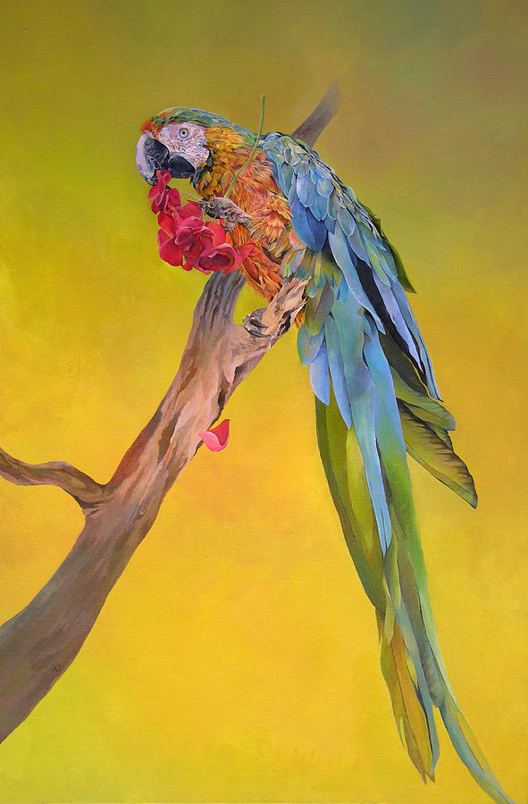 Macaw Painting - Macaws Dream by Kathryn Alexander