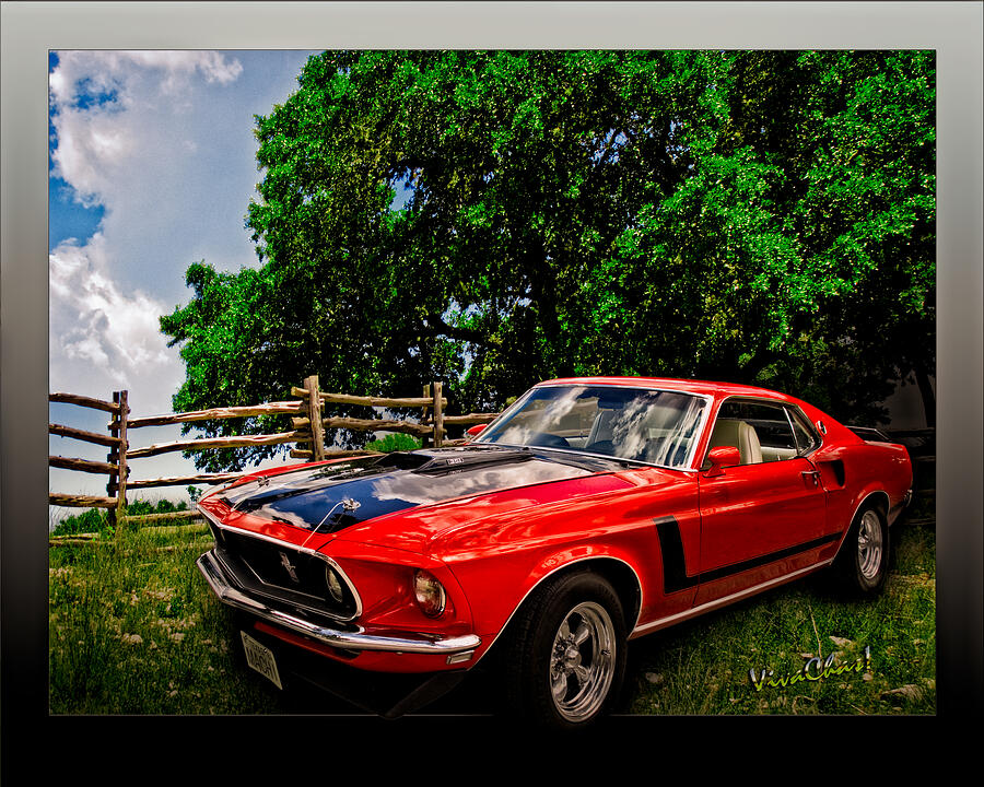 1969 Ford Mach 1 Mustang Photograph by Chas Sinklier