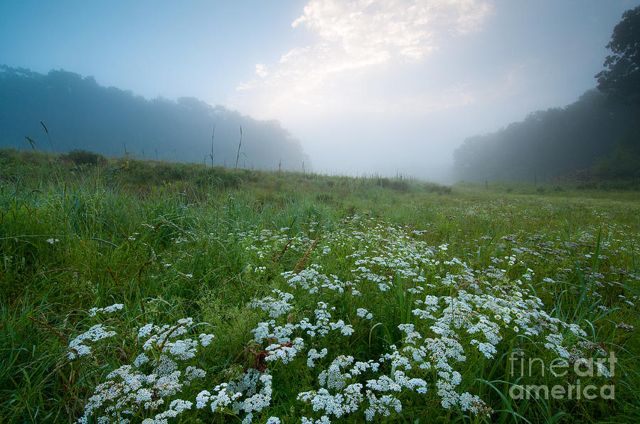 Machimoodus Dreamscape - Misty Meadow Photograph by JG Coleman