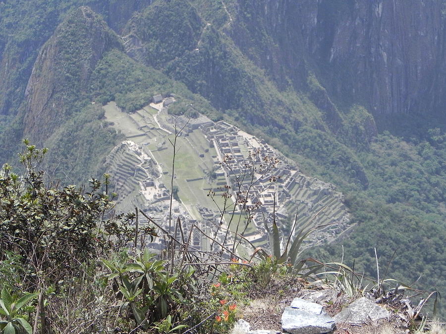 Machu Picchu 73 Photograph