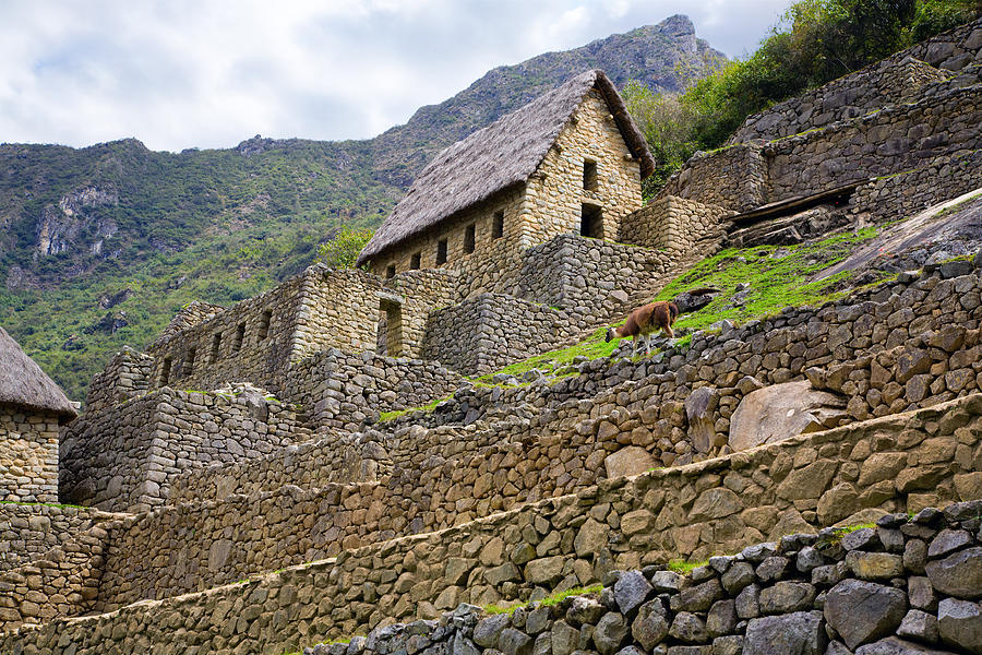 Machu Picchu Gate House Photograph by Alexey Stiop
