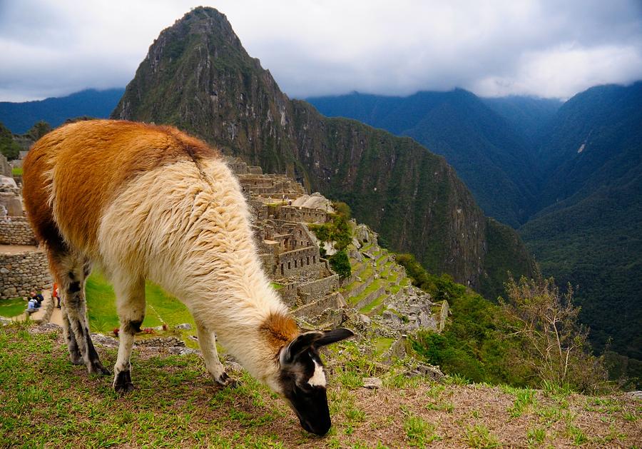 Machu Picchu Peru Photograph by Max Ratchkauskas - Pixels