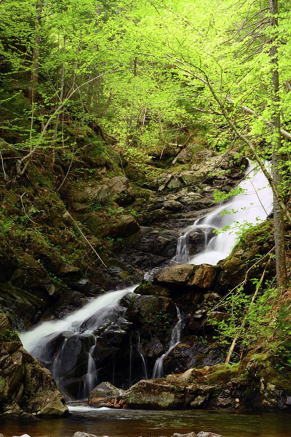 Macintosh Brook Waterfalls In Cape Photograph by Darlyne A. Murawski