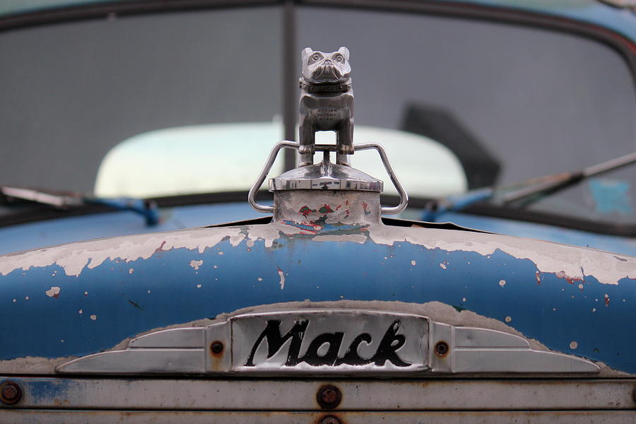 Mack Bulldog Photograph by Trent Mallett