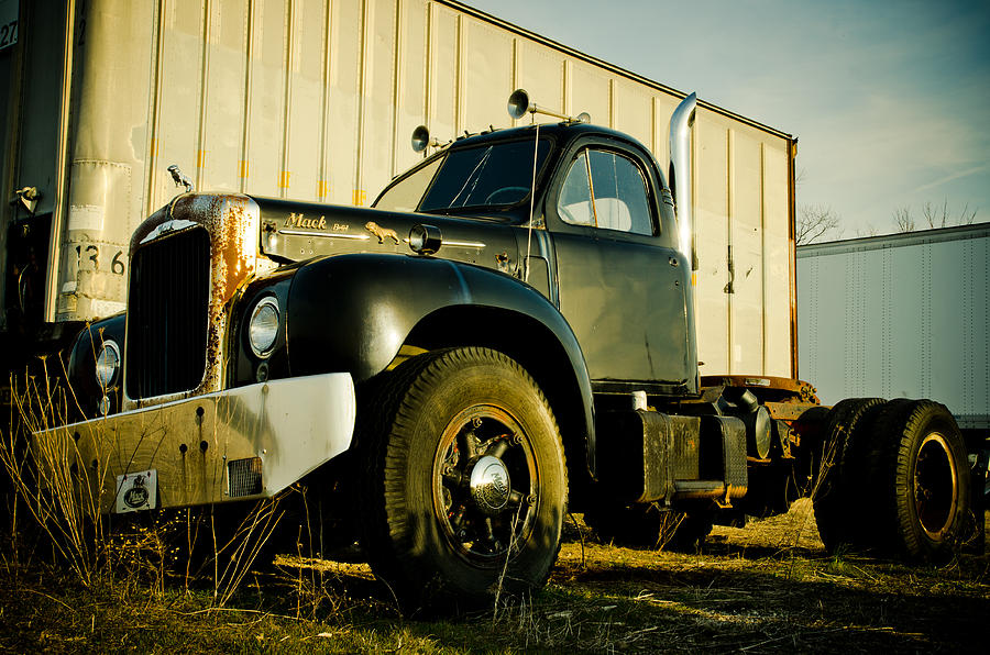 Mack  Photograph by Off The Beaten Path Photography - Andrew Alexander
