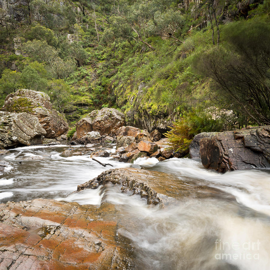 Nature Photograph - MacKenzie Falls Grampians Australia by THP Creative