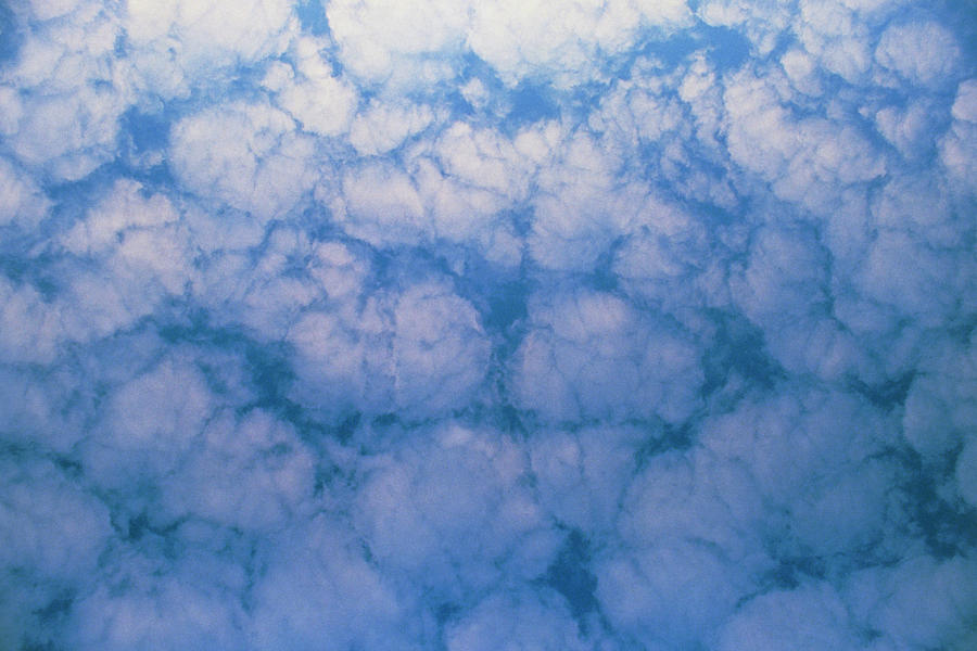 Cloud Photograph - Mackerel Sky; Altocumulus Clouds by Pekka Parviainen/science Photo Library