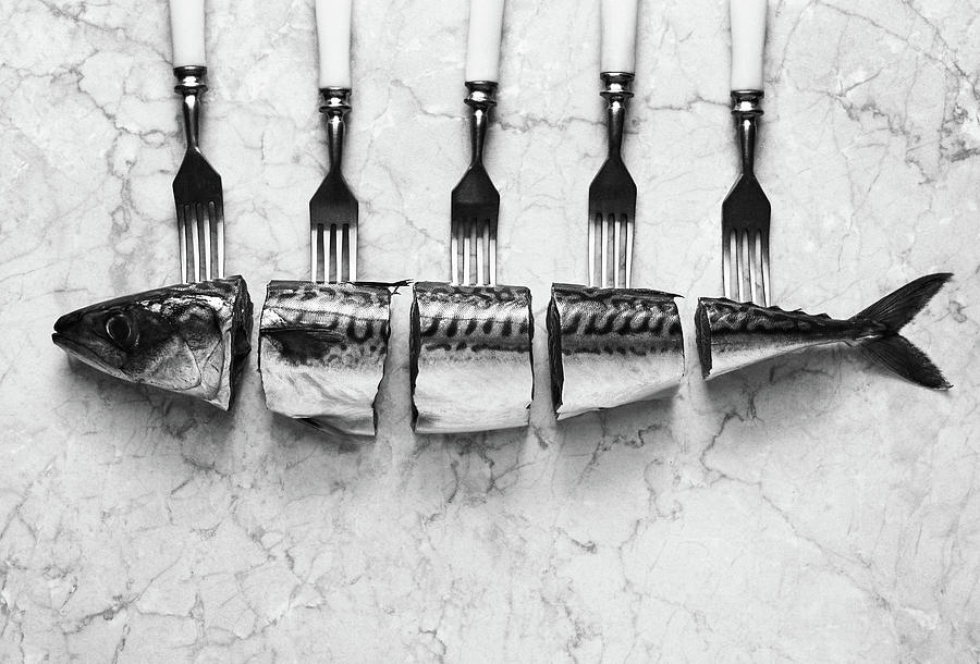 Mackerel&forks Photograph by Aleksandrova Karina