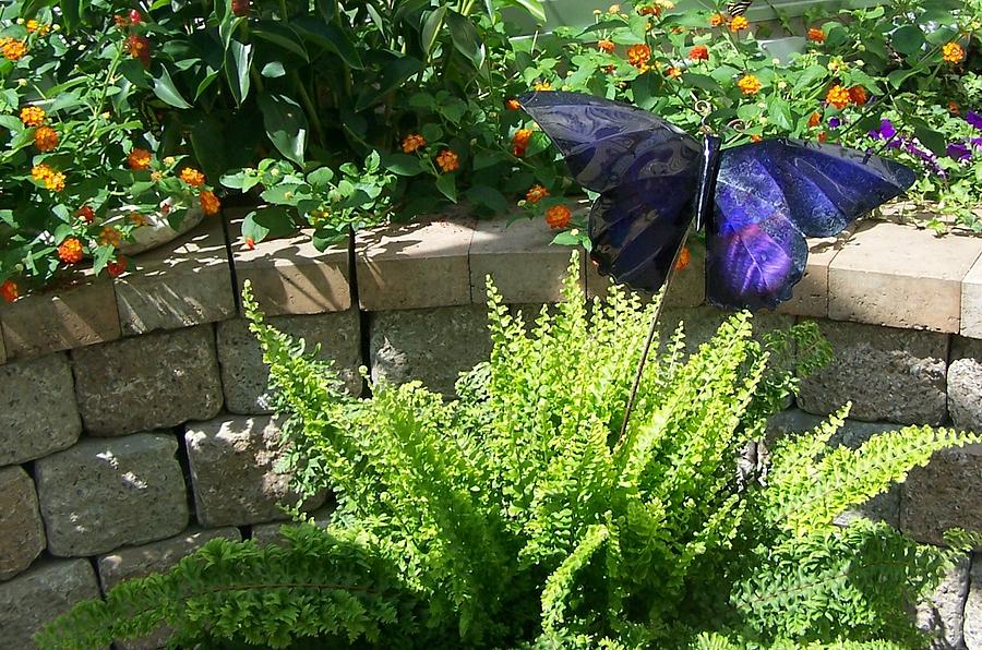 Mackinac Island Butterfly House Photograph by Kathleen Luther