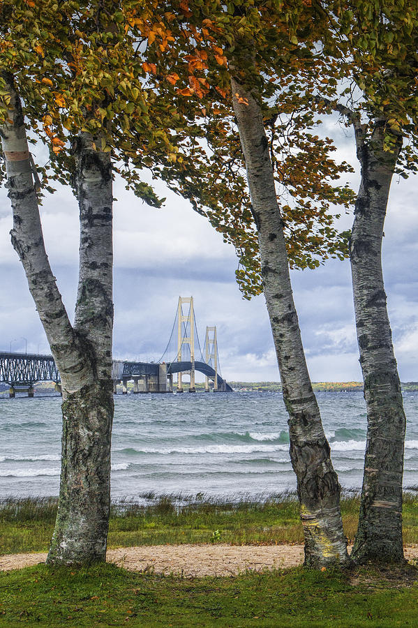 Mackinaw Bridge in Autumn by the Straits of Mackinac Photograph by Randall Nyhof