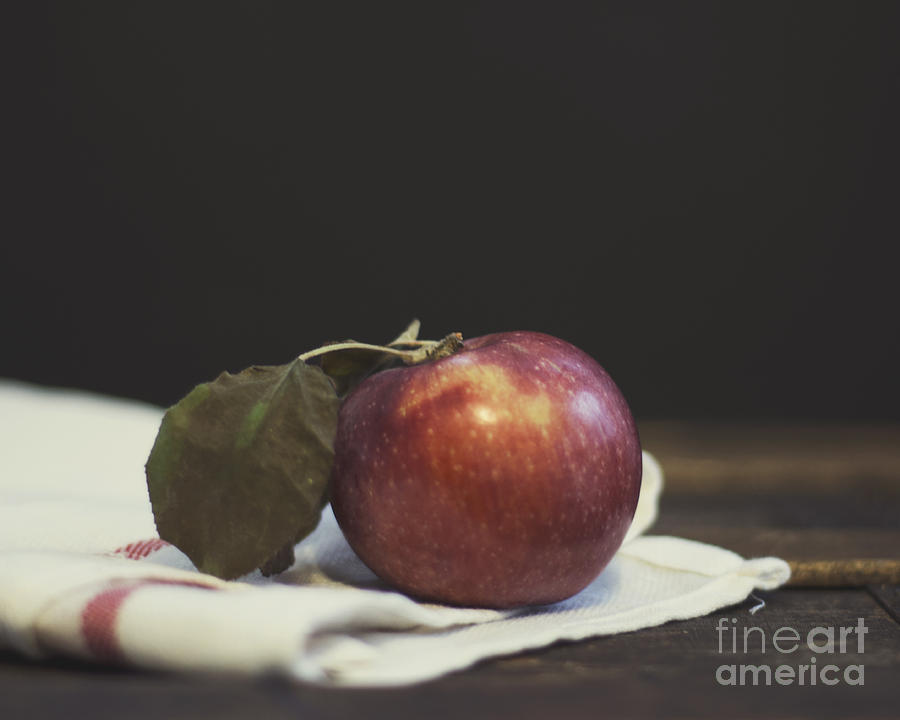 Macoun Apple Photograph by Jillian Audrey Photography