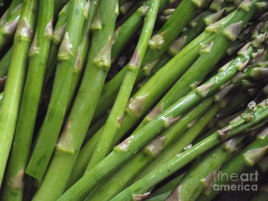 Macro Asparagus Photograph by Rebecca Malo Fine Art America
