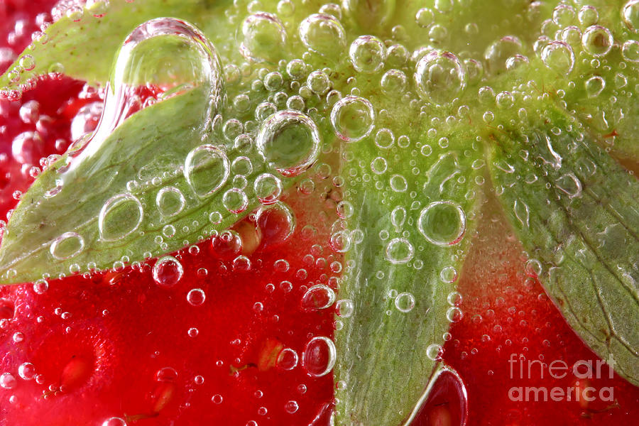 Macro of strawberry in water Photograph by Simon Bratt