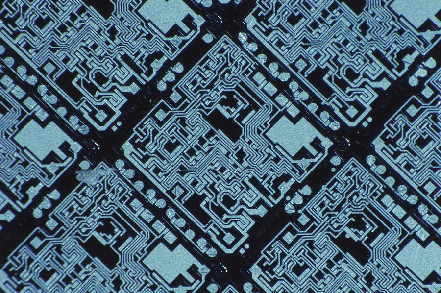 Macrographs Of Integrated Circuit Photograph by Michael Abbey
